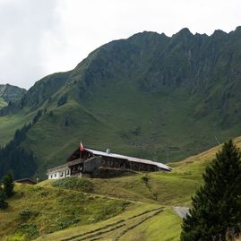 Trattenbachalm - Berggasthaus in Jochberg bei Kitzbühel