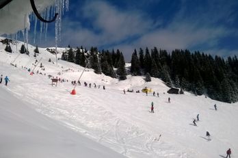 Trattenbachalm - Berggasthaus in Jochberg bei Kitzbühel