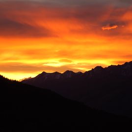 Trattenbachalm - Berggasthaus in Jochberg bei Kitzbühel