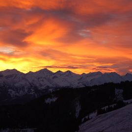 Trattenbachalm - Berggasthaus in Jochberg bei Kitzbühel