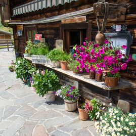 Trattenbachalm - Berggasthaus in Jochberg bei Kitzbühel