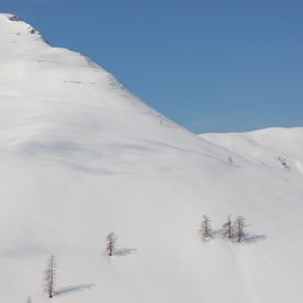 Winter inmitten der Kitzbüheler Alpen