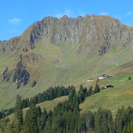 Trattenbachalm - Berggasthaus in Jochberg bei Kitzbühel